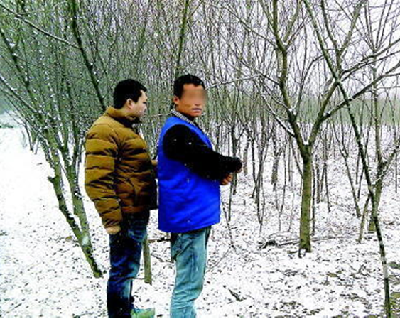 山东淄博一工人遭抢劫后被绑树上冻死 全身赤裸头上有血