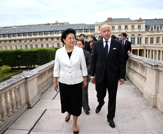 刘延东会见法国宪法委员会主席法比尤斯