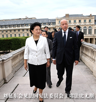 刘延东会见法国宪法委员会主席法比尤斯 