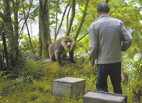 四川：男子深山养蜂17载 白天驱猴晚上防熊(组图) 