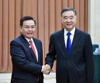 全国政协主席汪洋与老挝建国阵线中央主席赛颂蓬举行会谈
