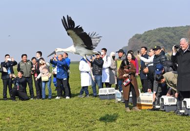 120只珍稀候鸟放飞鄱阳湖 