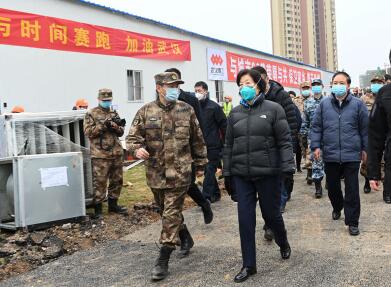 中央赴湖北指导组实地察看火神山医院 