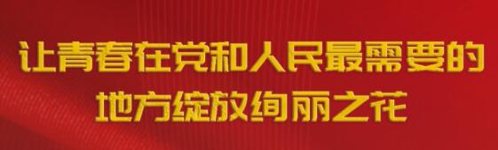 习近平：让青春在党和人民最需要的地方绽放绚丽之花