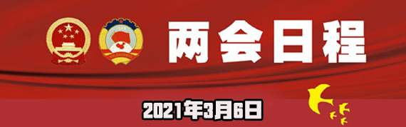 3月6日：审议和讨论政府工作报告 人代会审查“十四五”规划和2035年远景目标纲要草案