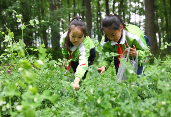 户外劳动课堂 学习劳动知识