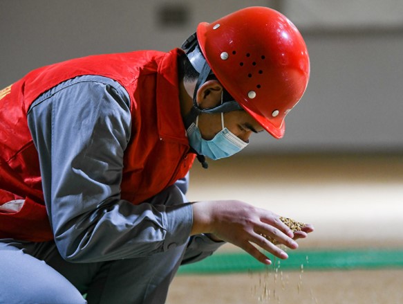 四川成都：“米袋子”仓满货足