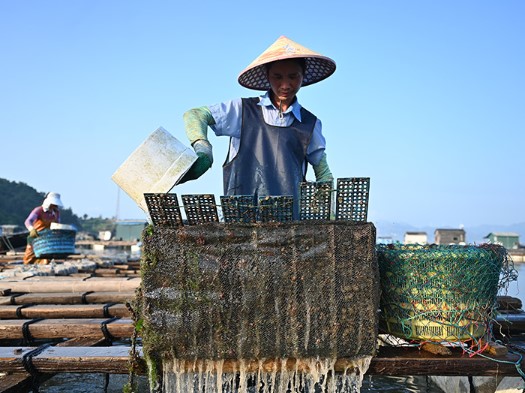 福建连江：海洋产业助力乡村振兴