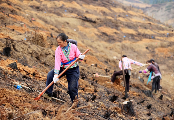 八桂大地春耕忙