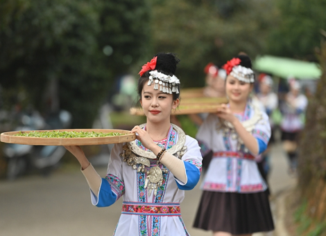 茶叶富侗乡